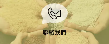 聯絡我們